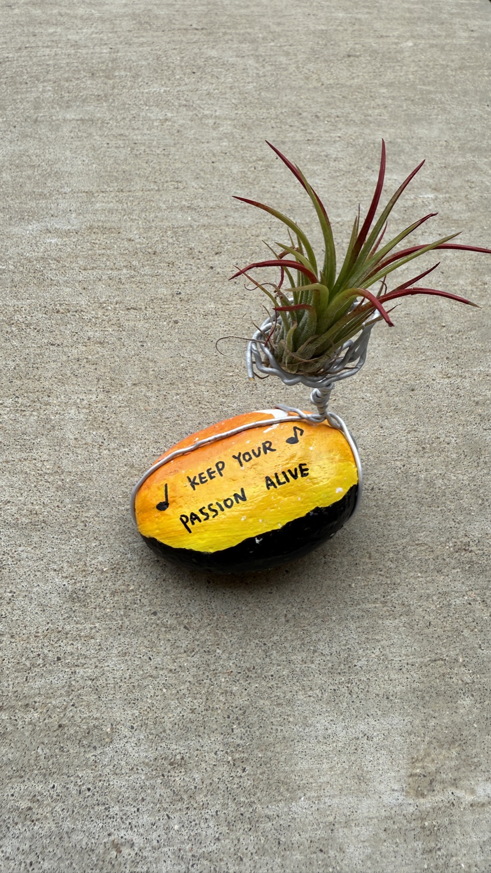 A hand-painted stone and wire holder made for an air plant